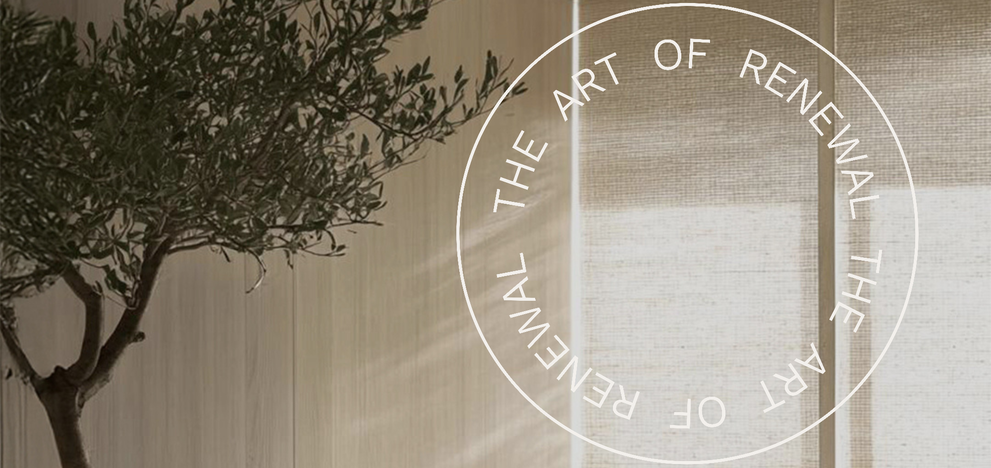 Massagepraxis Thun – Ella Koch – Ganzheitliche Massage mit Tiefenwirkung